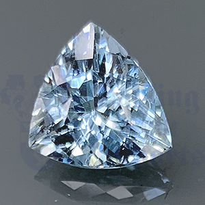 Aquamarine 3.93cts Trillion 11.4x11.2  AQ016