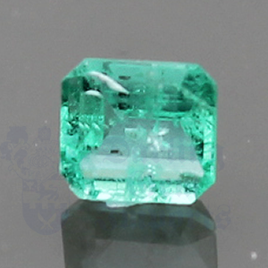 EMERALD .37ct Cut Corner Square 4.6x4.2 EM042