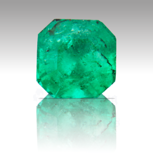 EMERALD 1.01ct Emerald Cut 5.9 (Colombian) EM090