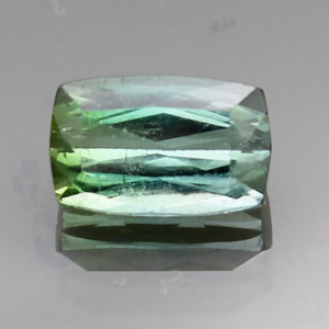 Green Tourmaline 3.65ct Antique Oval 10.9x6.9 GTU036