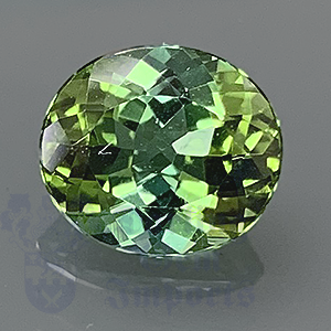 GREEN TOURMALINE 2.54cts Oval 9.2x8  GTU050