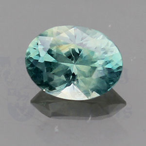 SAPPHIRE .88ct Oval 6.6x5 Montana (NH) MTS028