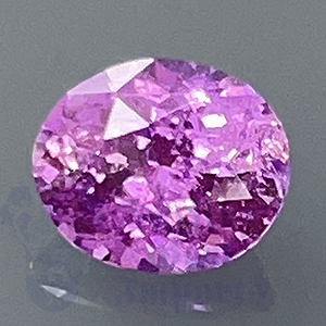 SAPPHIRE 1.35ct Oval 7.1x5.9 Pink (NH) PKS021