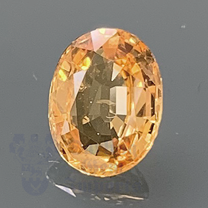 SAPPHIRE 1.52cts Oval 8X6 Champagne PS030