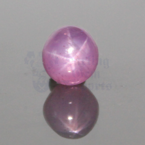 Star Sapphire 2.43ct Round 6.4-6.7 Pink STS050