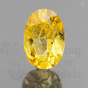 SAPPHIRE 1.07ct Oval 7.6x5.1 Yellow YS018