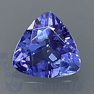 Tanzanite 1.01ct Trillion 6.7 TAN002