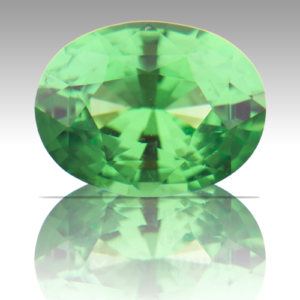 Garnet 2.56CT Oval 9.6x7.3 Tsavorite GA004