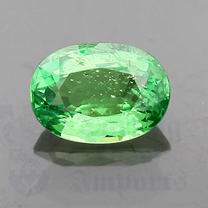 Garnet 1.06cts Oval 7.4x5.3 Tsavorite GA018