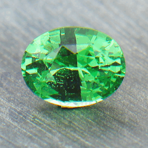 Garnet 3.03ct Oval 10x7.7 Tsavorite GA024