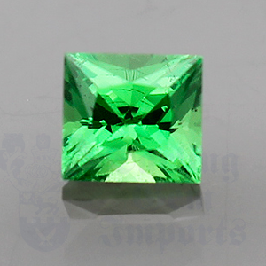 Garnet .65cts Princess 5x4.5 Tsavorite GA026