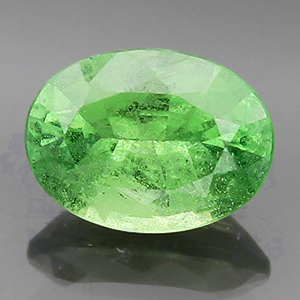 Garnet 2.20cts Oval 9.3x6.8 Tsavorite GA034