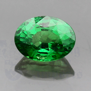 Garnet 1.04cts Oval 6.6x5 Tsavorite GA035