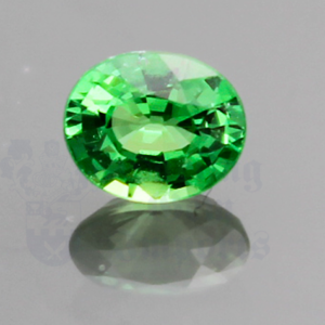 Garnet .67cts Oval 5.9x4.9 Tsavorite GA037