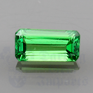 Garnet .90ct Emerald Cut 7.7x3.8 Tsavorite GA042