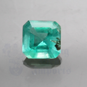 Emerald .61cts Cut Corner Square 5.1 EM123
