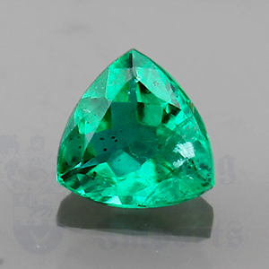 Emerald .81cts Trillion 6.4 EM148