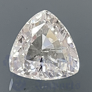 Sapphire 1.79ct Trillion 7.1 White WSA020