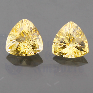 Sapphire 1.55ctw Trillion 5.5 Yellow-Pair YS090