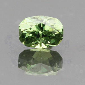 Garnet .93ct Antique Oval 6.1x4.5 Demantoid GA073