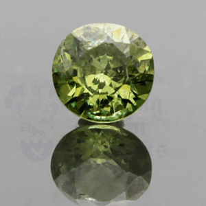 Garnet 1.04ct Round 6-6.1 Demantoid GA075