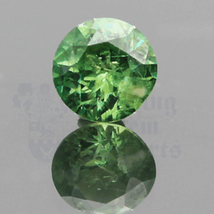 Garnet 1.01ct Round 5.9 Demantoid GA076