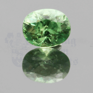 Garnet .72ct Oval 6.1x4.9 Demantoid GA078
