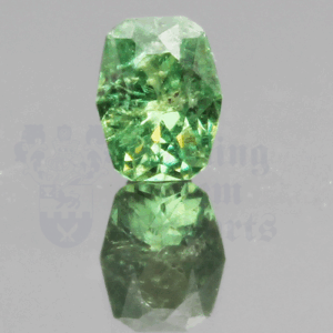 Garnet 1.56ct Antique Oval 7.9x6.1 Demantoid GA080